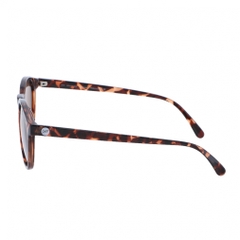 SUNSKI Sunglasses Dipsea Tortoise Amber