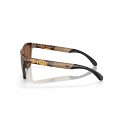 OAKLEY Sunglasses FROGSKINS RANGE A
