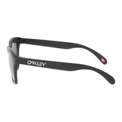 OAKLEY Sunglasses FROGSKINS A