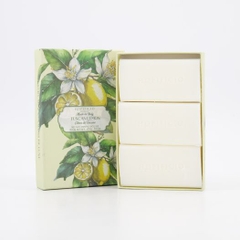 Hộp 3 bánh Xà bông cục cao cấp Hopificio Firenze Tuscan Lemon hương Chanh 450g Made in Italy