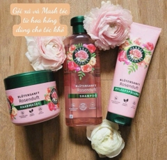 Dầu xả Herbel Essences 250ml (Hương hoa hồng)