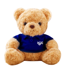 GẤU BÔNG IGC