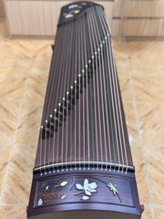 Hoa Ảnh
