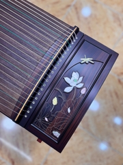 Hoa Ảnh