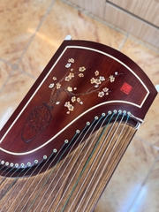 Xuân Sắc Mãn Đình