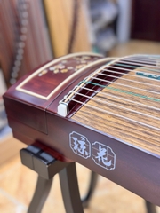 Xuân Sắc Mãn Đình