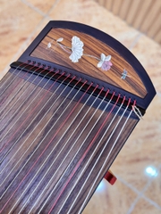 Thụy Hà Đình Ảnh