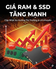 Bão Giá Linh Kiện: Tại Sao Giá RAM và SSD Tăng Chóng Mặt? Lời Khuyên Chiến Lược Cho Người Dùng Mini PC