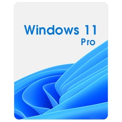 Bản quyền Win 11 Pro OEM
