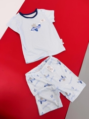 B02 Bộ cotton giấy mỏng