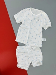 B02 Bộ cotton giấy mỏng