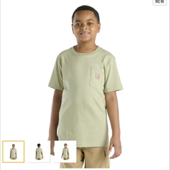 A27 áo phông Carhartt nhỏ