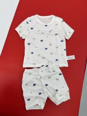 B02 Bộ cotton giấy mỏng