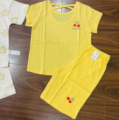 B04 Bộ cotton Hàn xịn