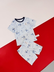 B02 Bộ cotton giấy mỏng