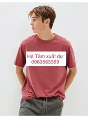 A20 Áo phông nam A.E xuất Mỹ