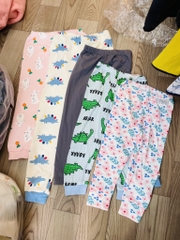 4c Quần chục cotton Hàn