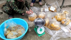 Mật ong khoái rừng bán theo tổ (kg)