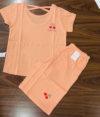 B04 Bộ cotton Hàn xịn