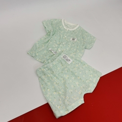 B02 Bộ cotton giấy mỏng