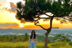 Bí quyết du lịch Đà Lạt tự túc giá rẻ để xách túi và đi ngay không cần suy nghĩ