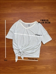Áo thun linen Gap cổ V bigsize xuất xịn