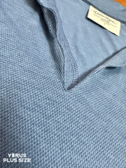 Áo polo cộc tay Walter bigsize thoáng mát