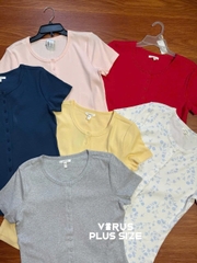 Áo thun gân maurice bigsize xuất xịn