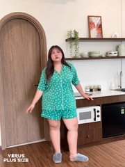 Bộ pijama Lyre bird xuất xịn bigsize