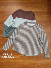 Áo thun tay dài maurice bigsize