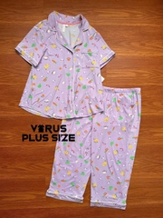 Set Bộ Thun Dài Joyspun Bigsize