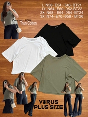Áo Thun Fashion Nova Bigsize