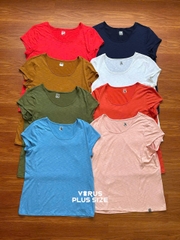 Áo thun tập Talbot adventure xuất xịn tone pastel xinh bigsize