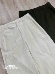 Quần kaki Primark xuất xịn bigsize