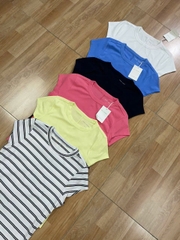 Áo thun basic free assembly bigsize cotton