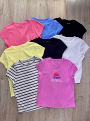 Áo thun basic free assembly bigsize cotton