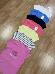 Áo thun basic free assembly bigsize cotton