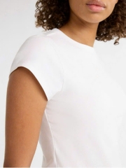 Áo thun basic free assembly bigsize cotton
