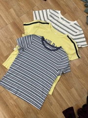 Áo thun SO basic thun cotton co giãn bigsize