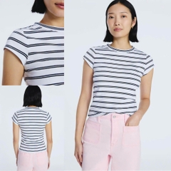 Áo thun basic free assembly bigsize cotton