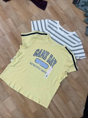 Áo thun SO basic thun cotton co giãn bigsize
