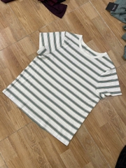 Áo thun SO basic thun cotton co giãn bigsize