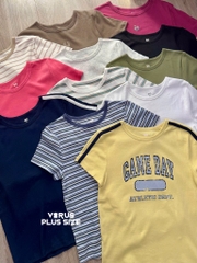 Áo thun SO basic thun cotton co giãn bigsize