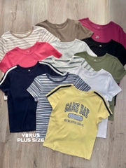 Áo thun SO basic thun cotton co giãn bigsize