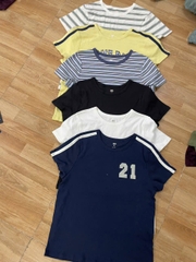 Áo thun SO basic thun cotton co giãn bigsize
