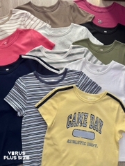 Áo thun SO basic thun cotton co giãn bigsize