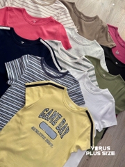 Áo thun SO basic thun cotton co giãn bigsize
