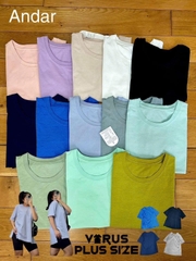 Áo thun Andar vạt xẻ bigsize xuất xịn