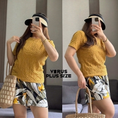 Áo thun xốp vera simply xuất xịn