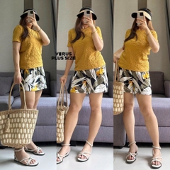 Áo thun xốp vera simply xuất xịn